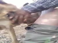 Man on dog anal sex